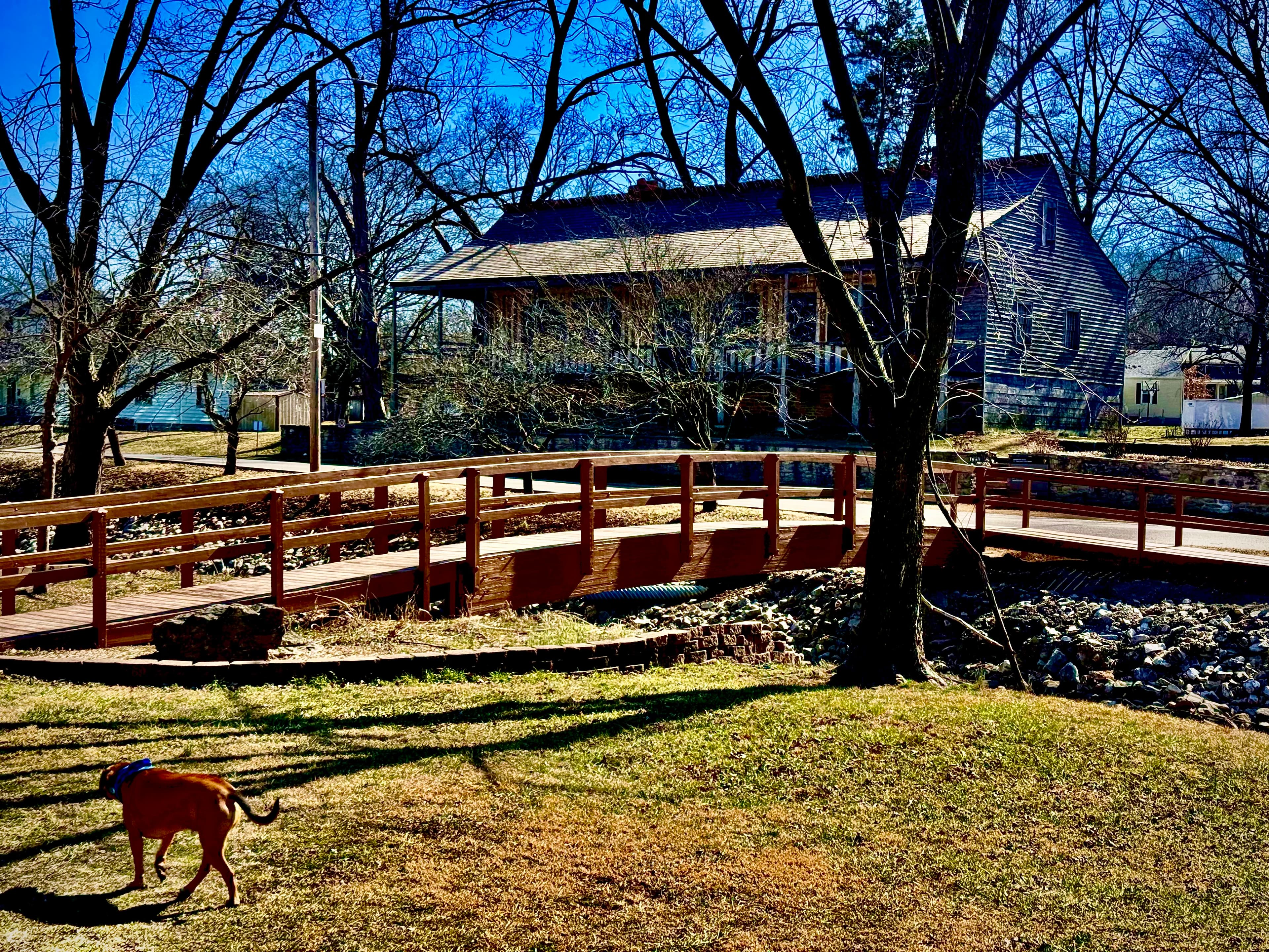 A dog walks past a wooden bridge in front of a house surrounded by trees.
